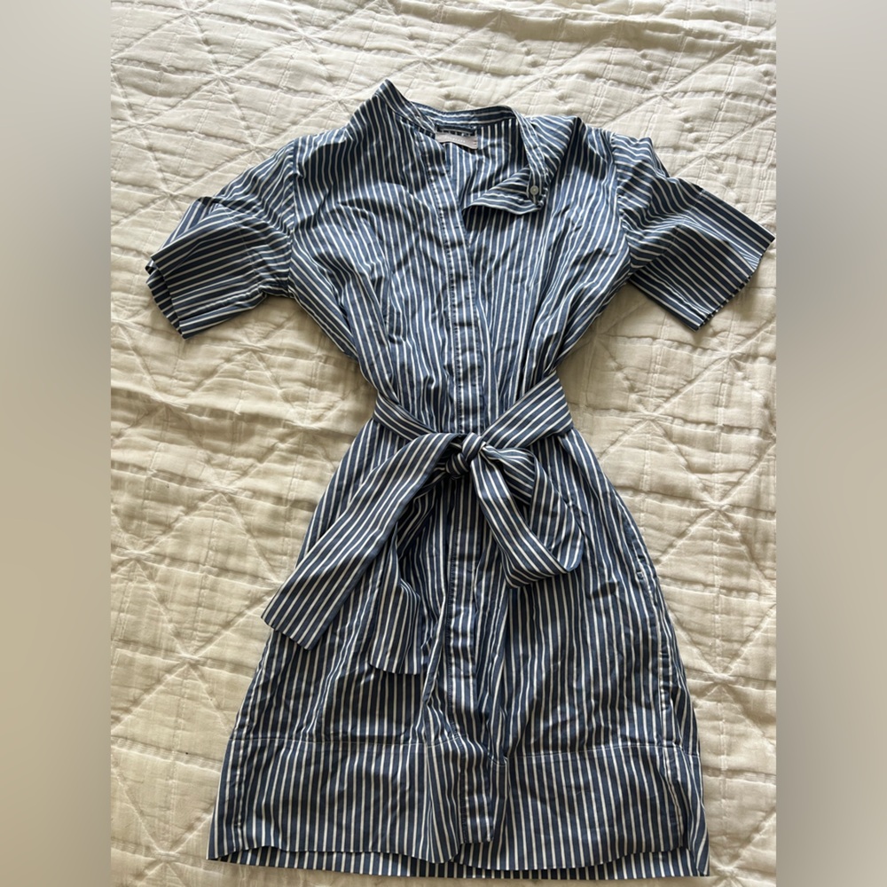 Everlane Navy and White Striped dress